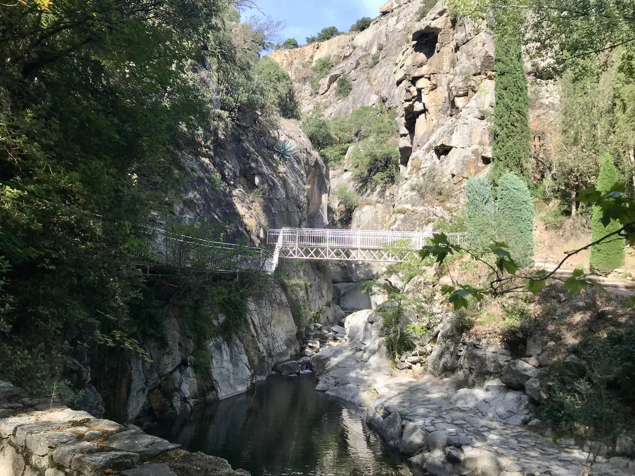 IMG_9007.jpeg