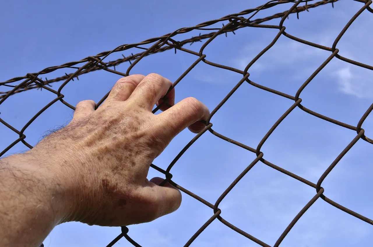 barbed-wire-1408454_1920.jpg