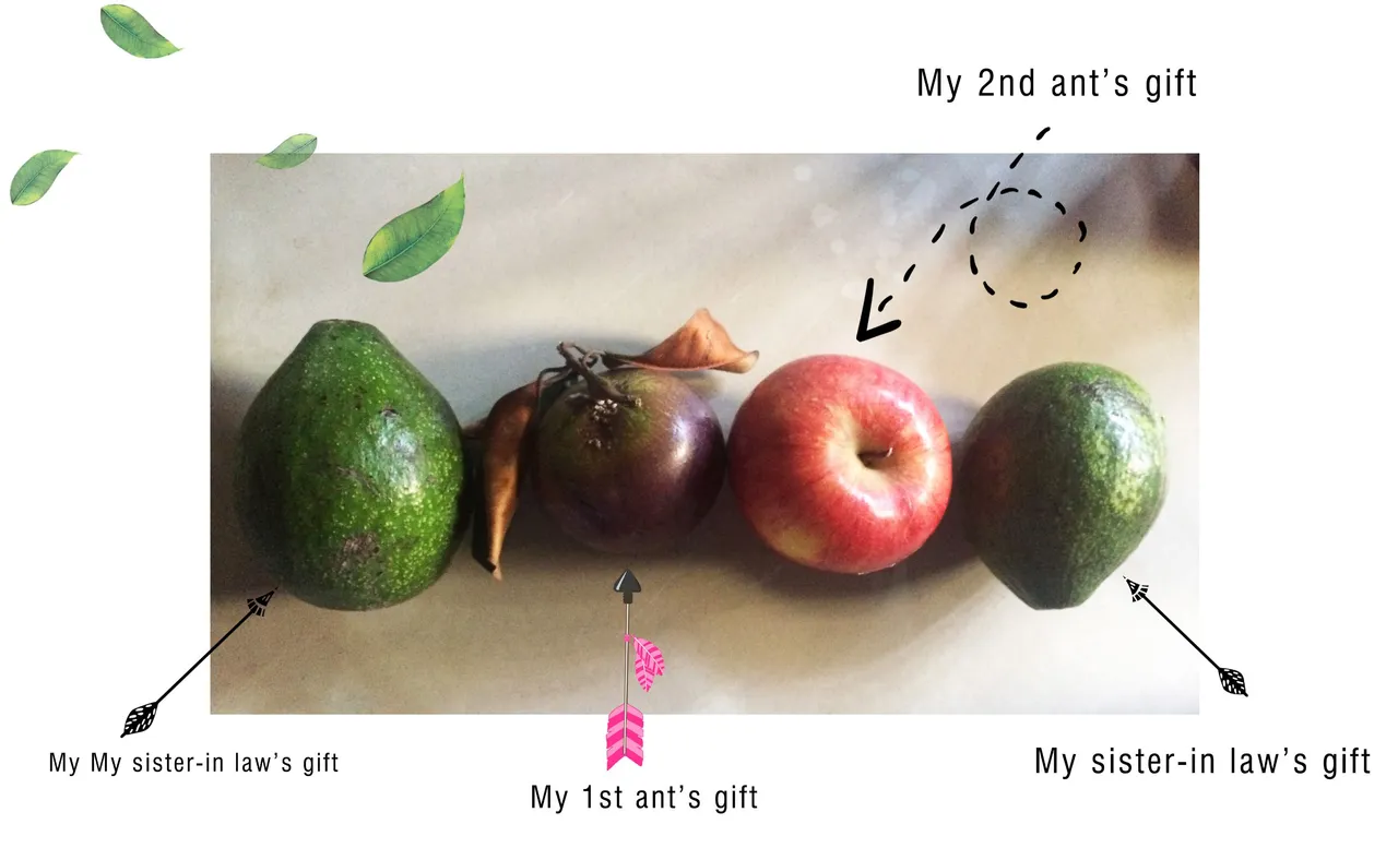 fruit de Viexx1.jpg