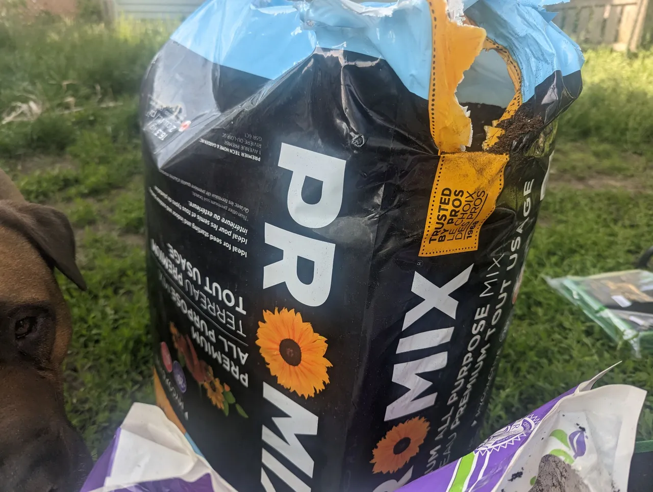 PXL_20230527_222639859.jpg