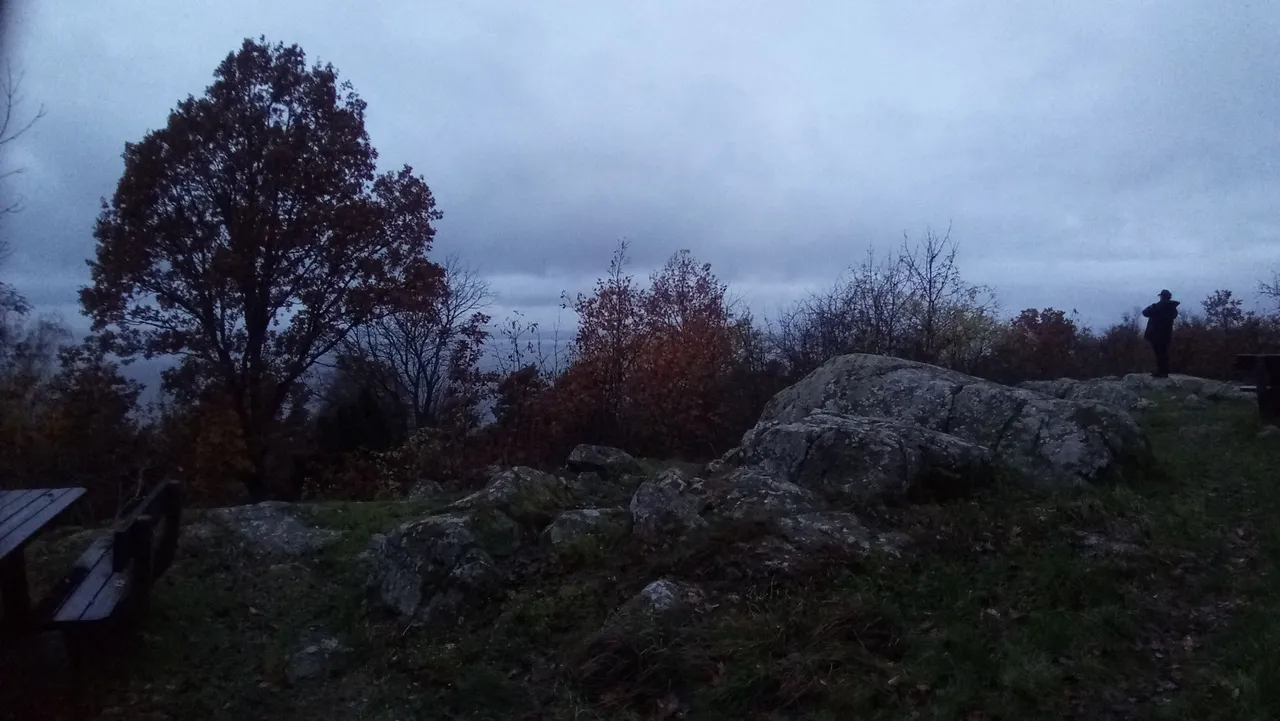 P_20231110_155522.jpg
