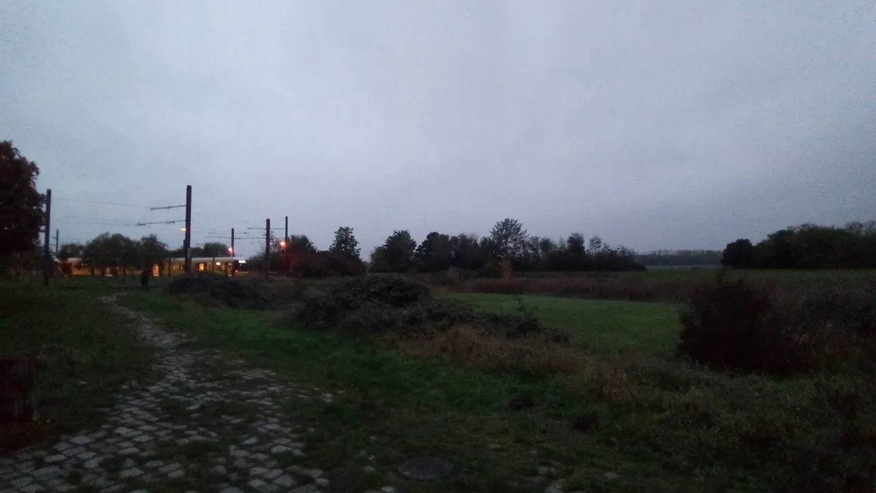 P_20231027_175303.jpg