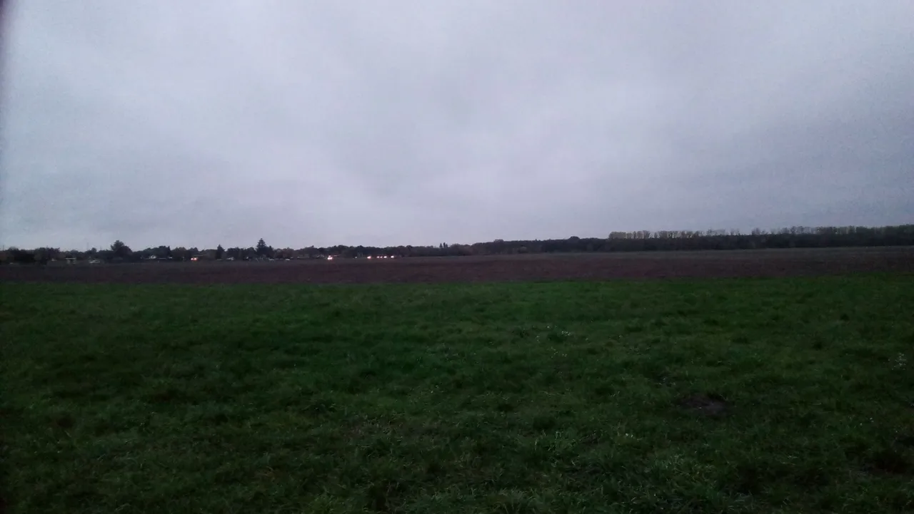 P_20231027_173823.jpg
