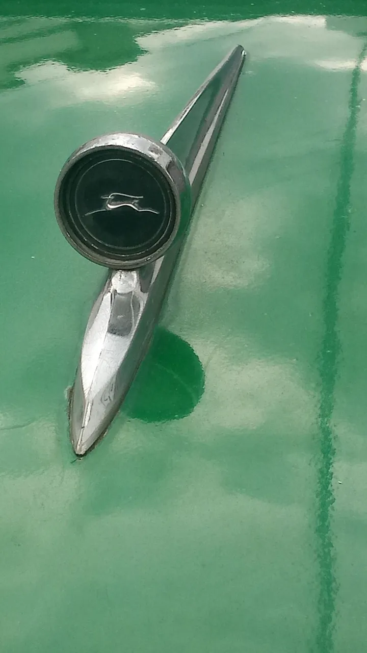 P_20231130_143824.jpg