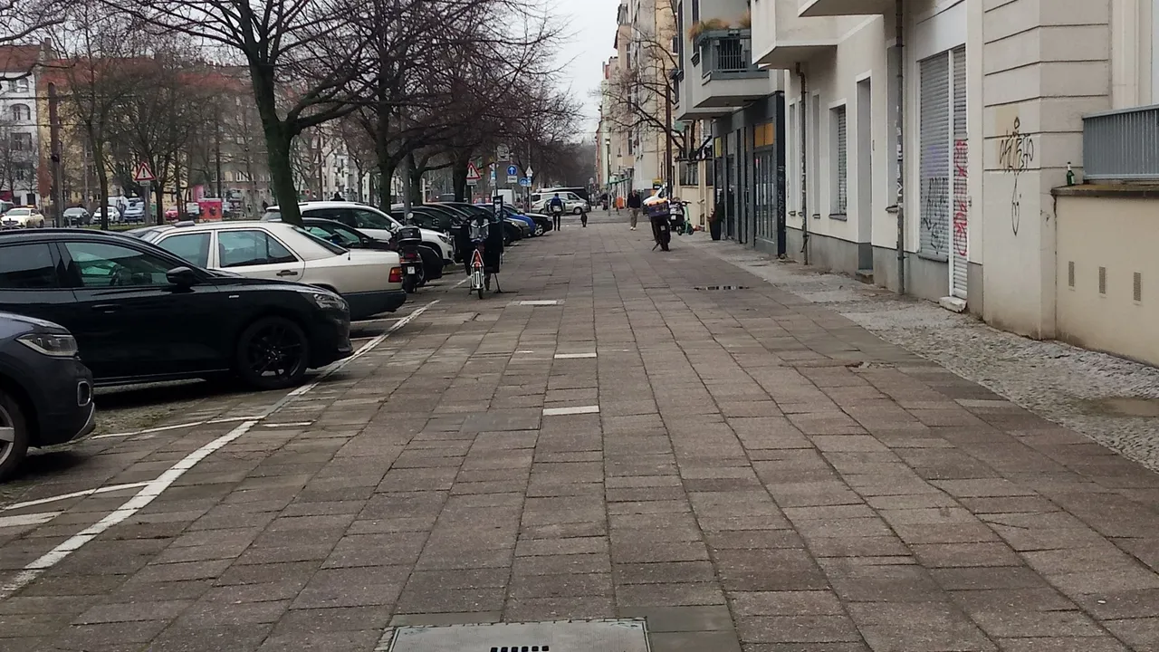 P_20230310_155207.jpg