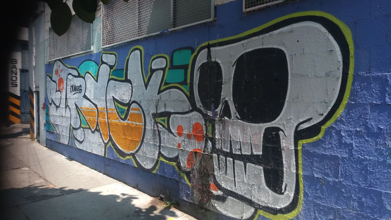 P_20250425_105404.jpg