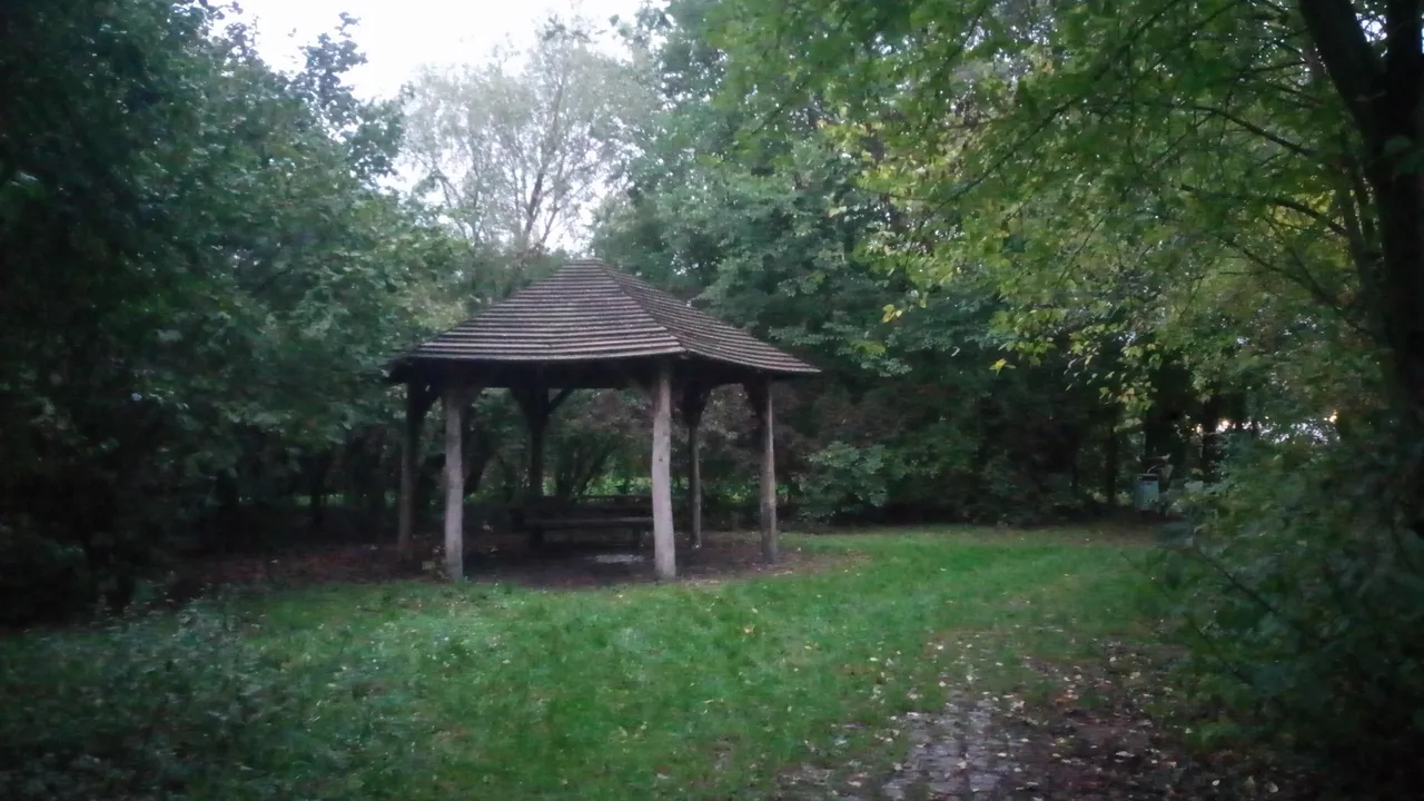 P_20231027_174606.jpg