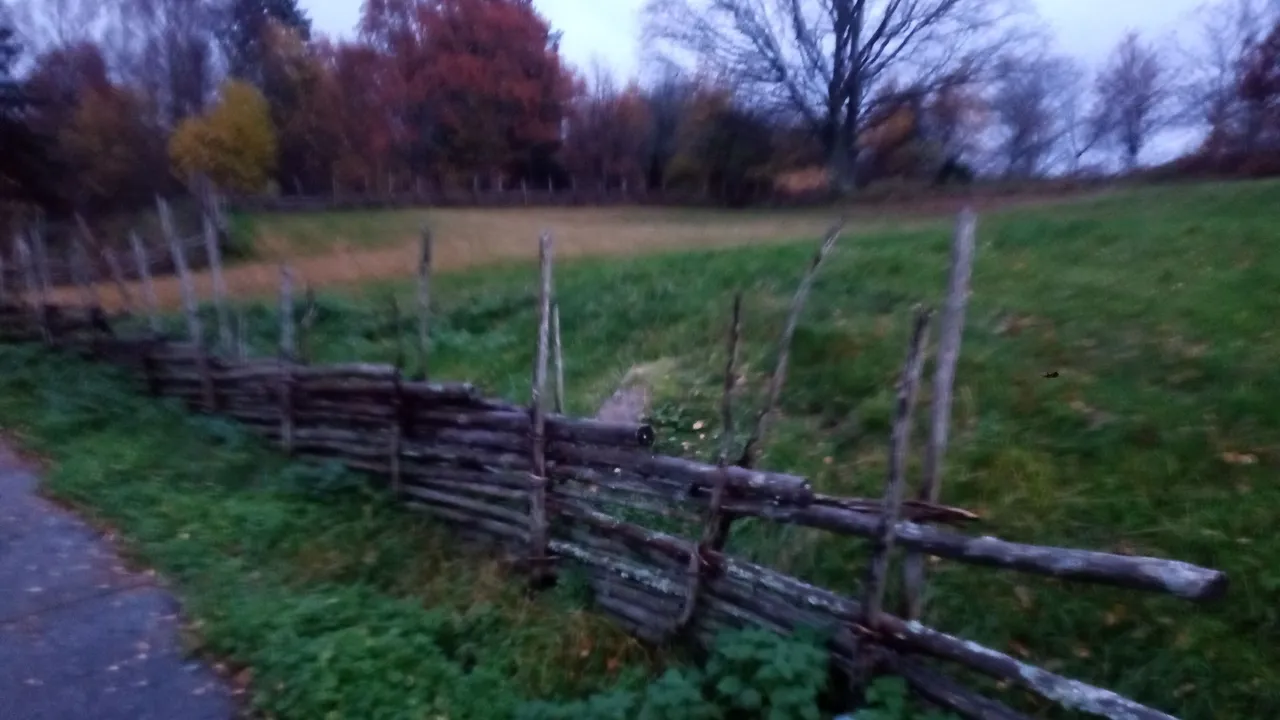 P_20231110_155902.jpg