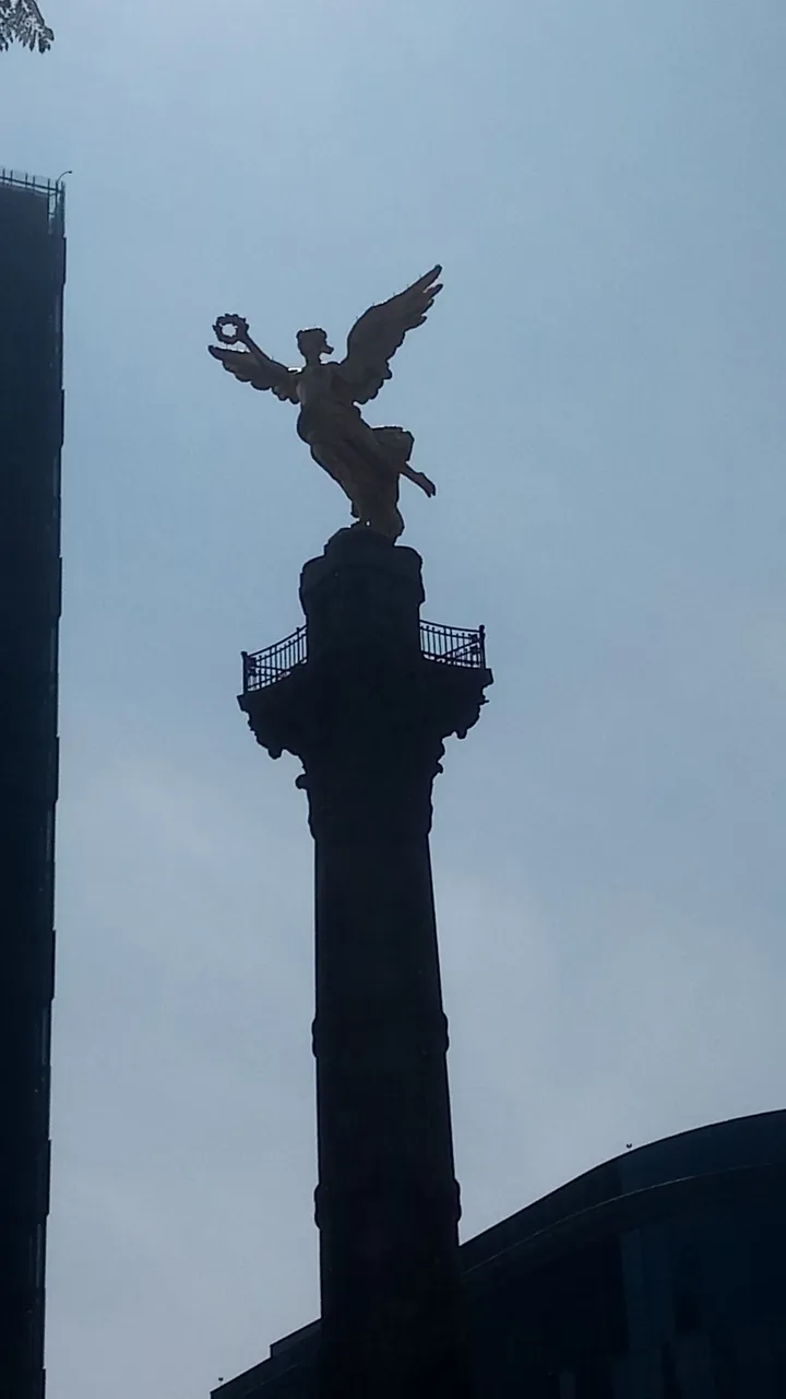 P_20240129_130957.jpg
