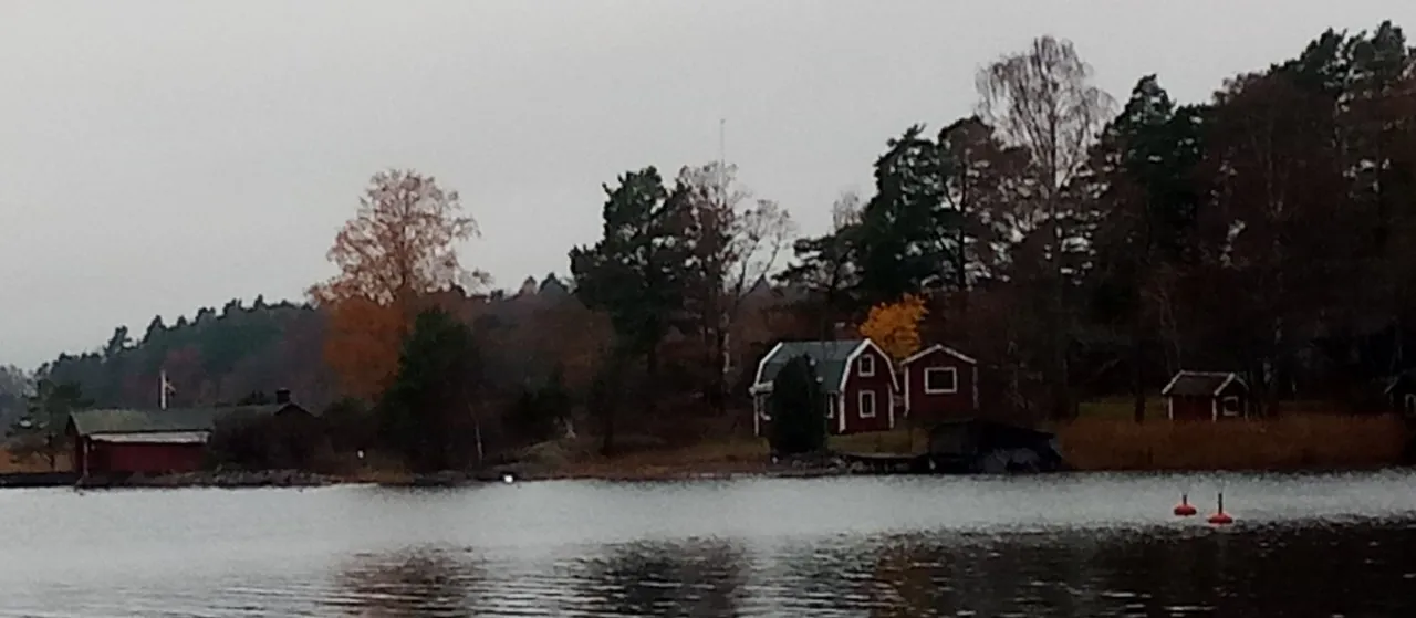 P_20231110_100824.jpg