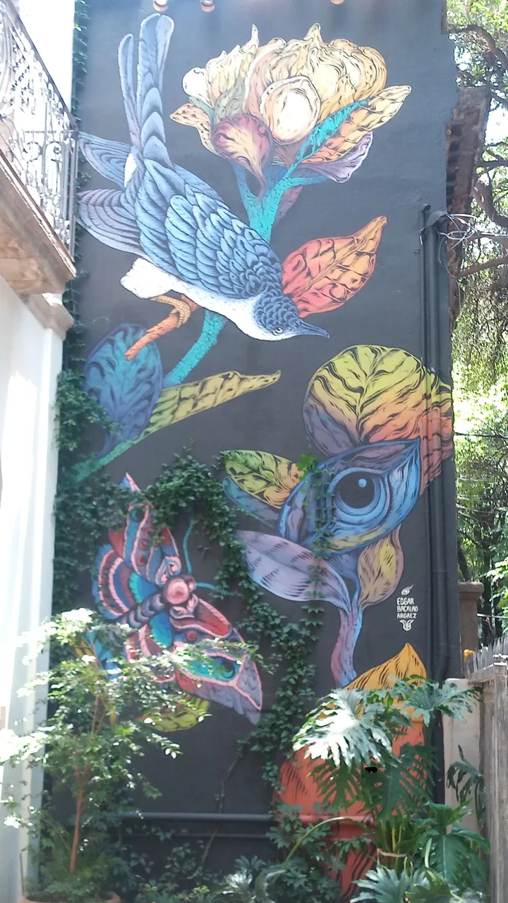 P_20250607_130956.jpg