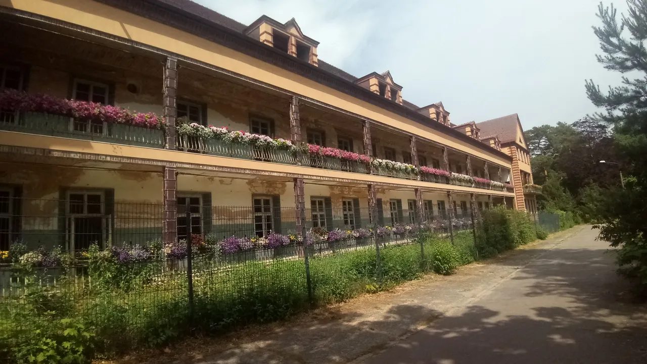 P_20230617_152955.jpg