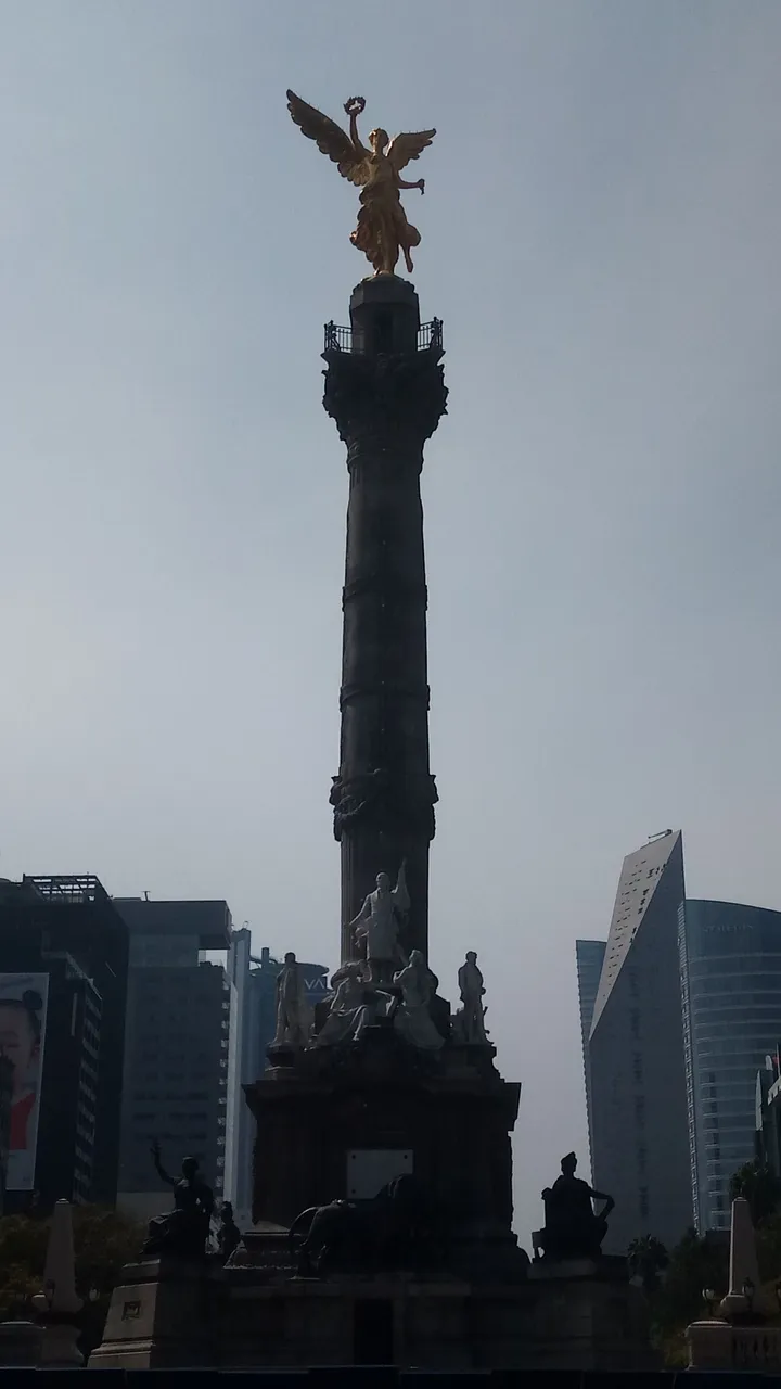 P_20240129_131157.jpg
