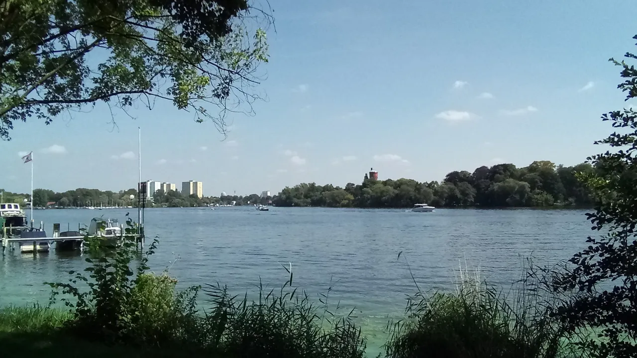 P_20230819_130207.jpg