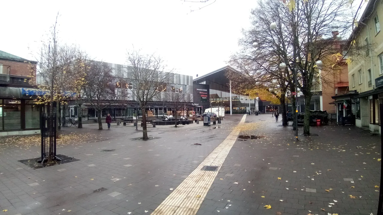 P_20231110_103211.jpg
