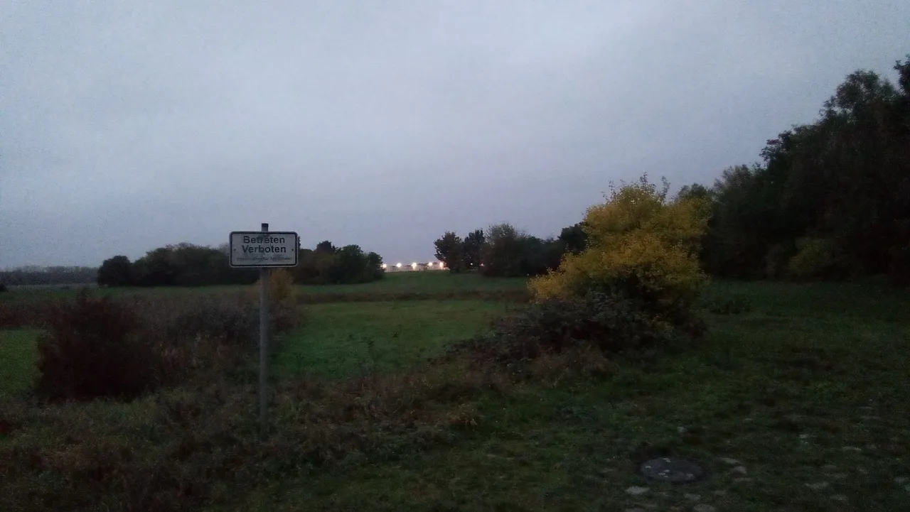 P_20231027_175311.jpg