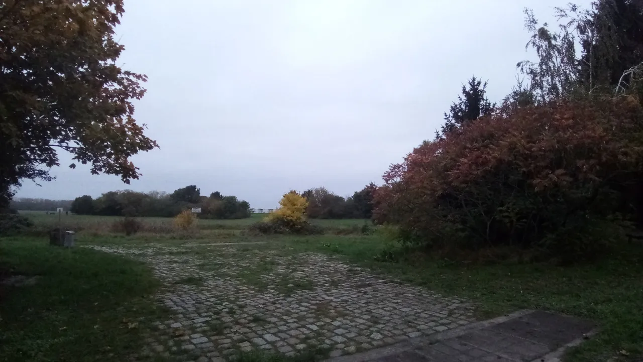 P_20231027_172525.jpg
