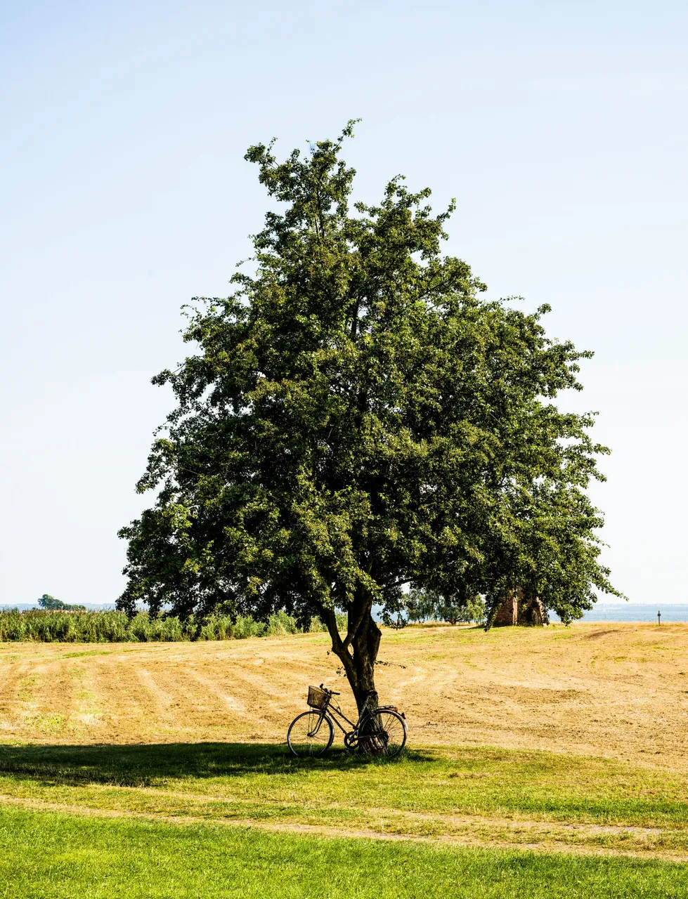 anders-nord-IQUyLpKDFKI-unsplash.jpg