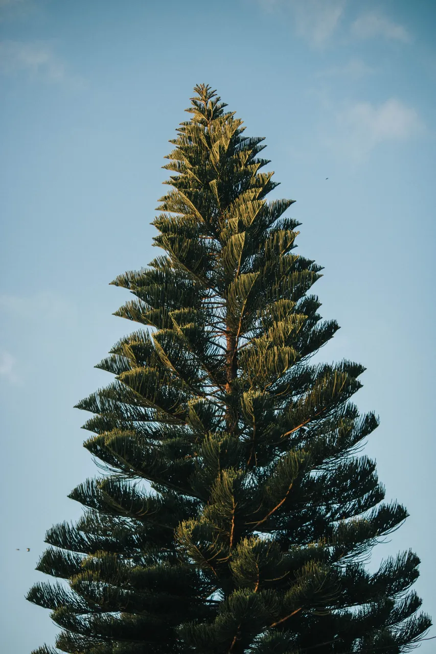 itay-peer-W-SeuNdEEbs-unsplash.jpg