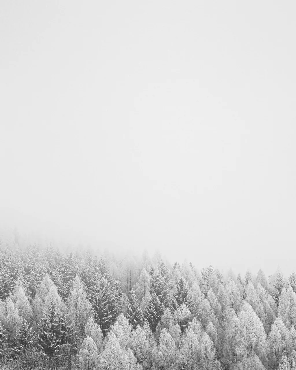 pexels-jan-kopřiva-3634855.jpg