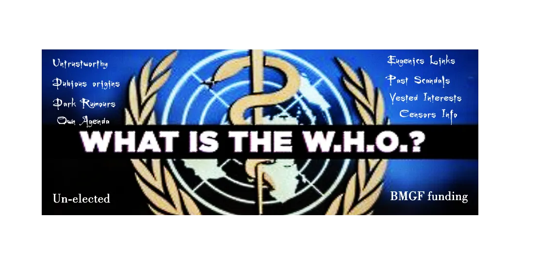 whoiswho.png
