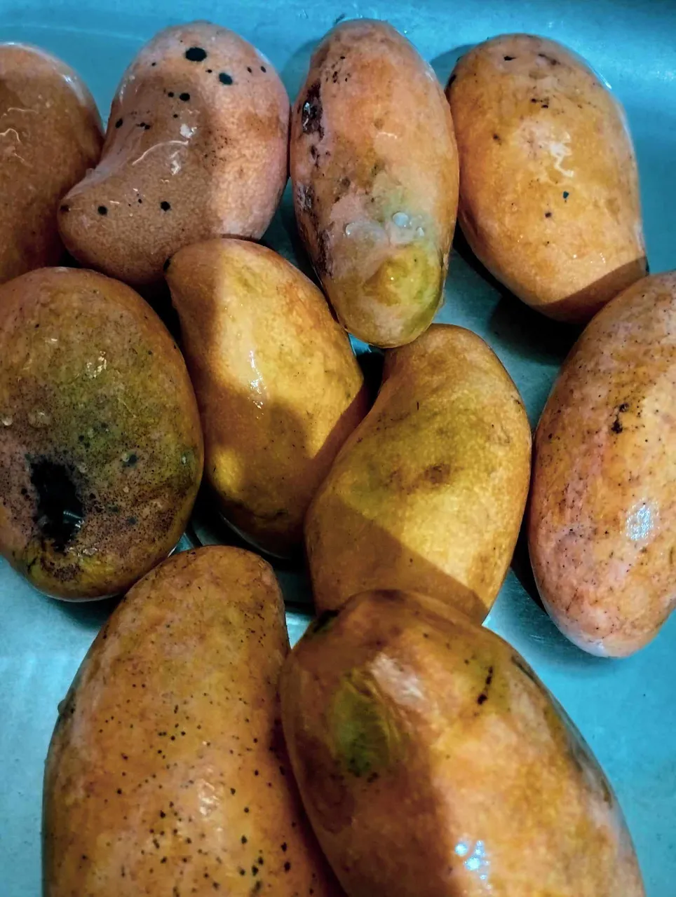 mangga.jpg