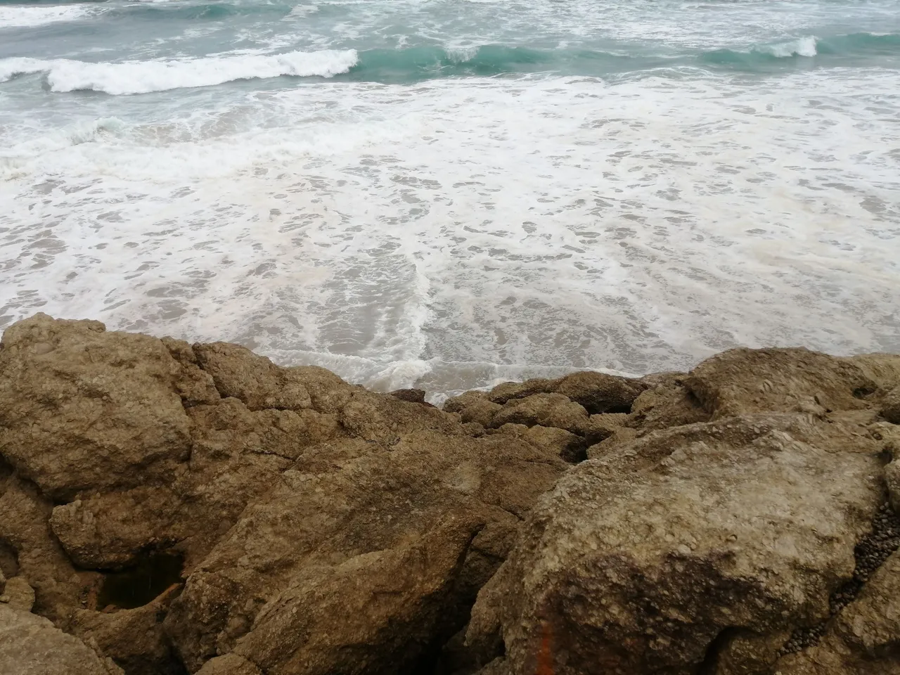 IMG_20221225_155446.jpg