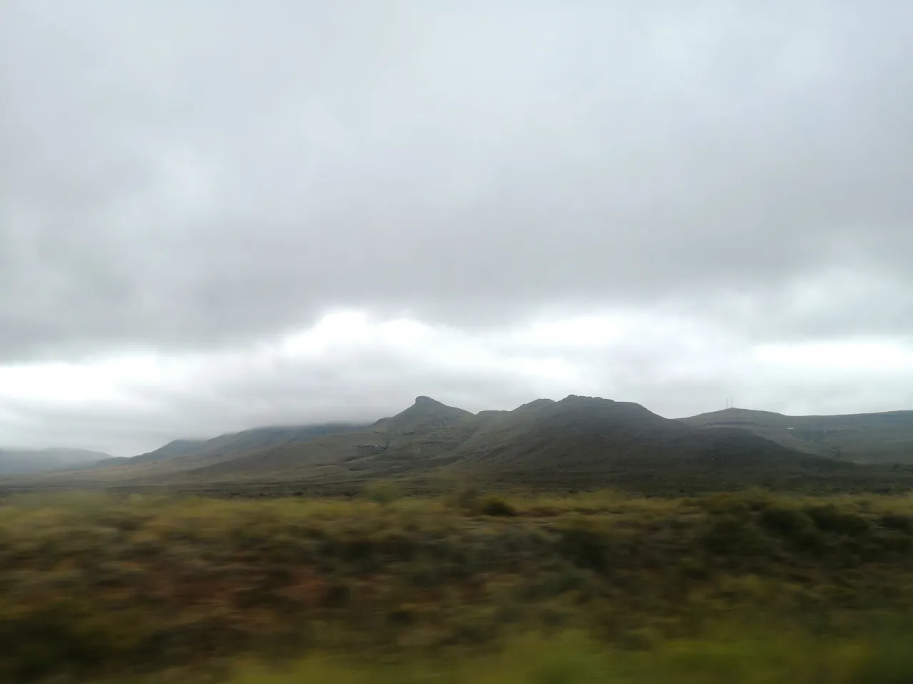 IMG_20230106_110958.jpg