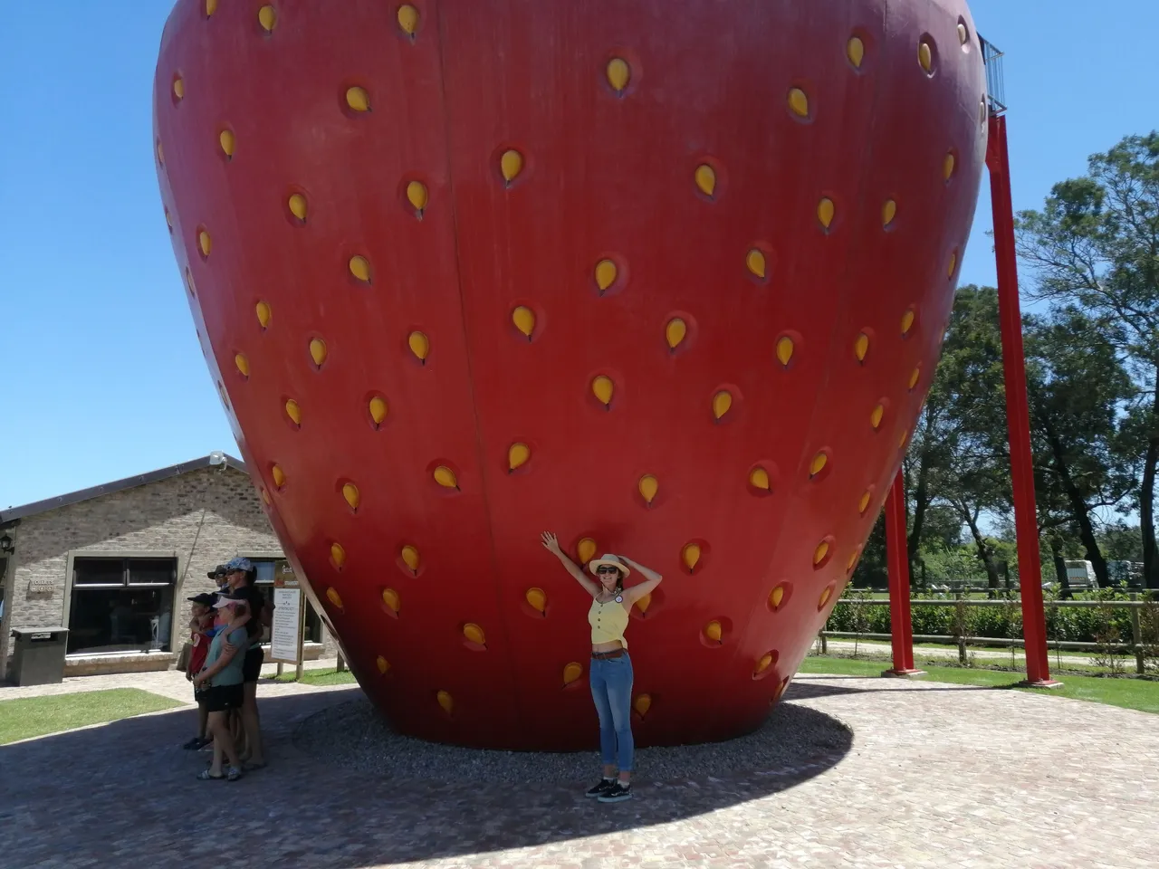 IMG_20221226_132952.jpg