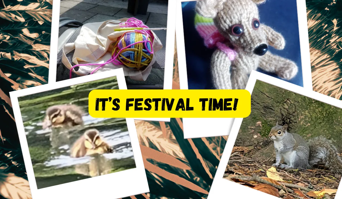 It's Festival Time.png
