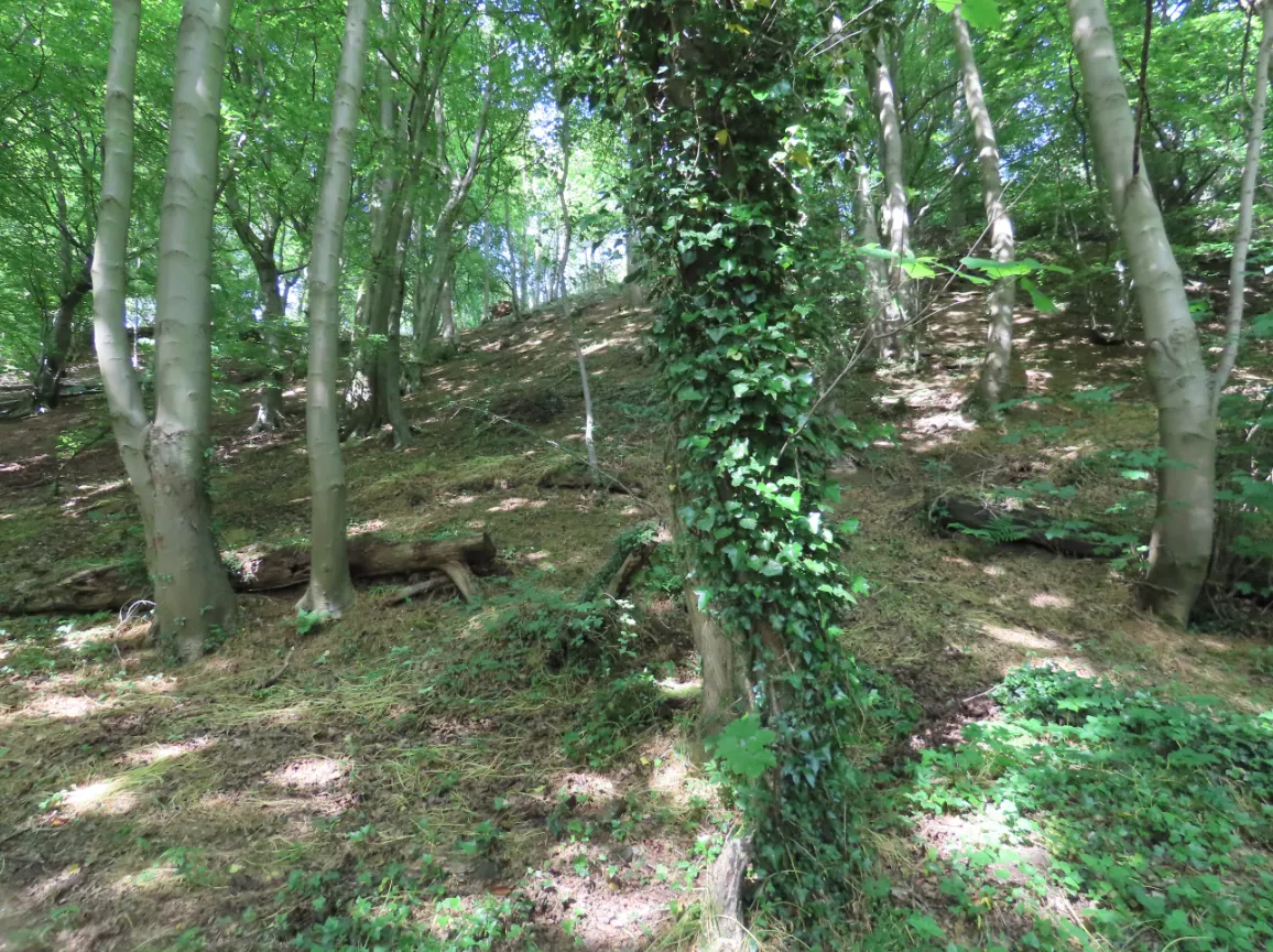 Screenshot 2023-06-07 05.45.48.png