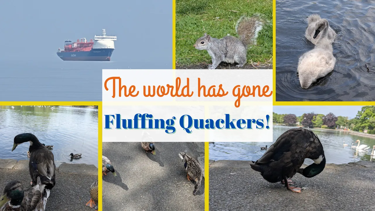 The world has gone fluffing Quackers!.png