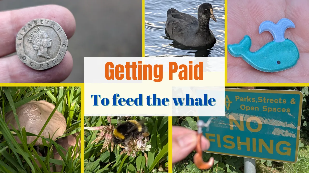 Getting Paid to feed the whale.png