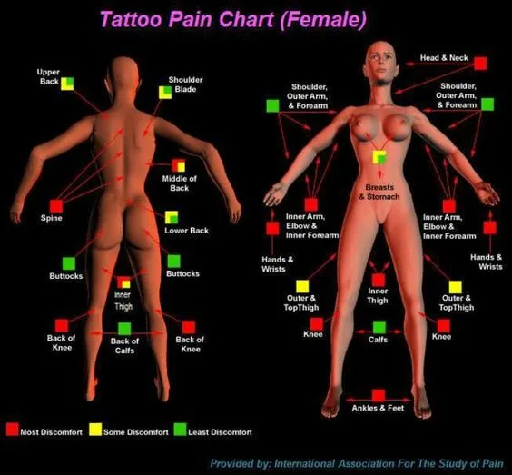 tattoo-pain-chart.jpg