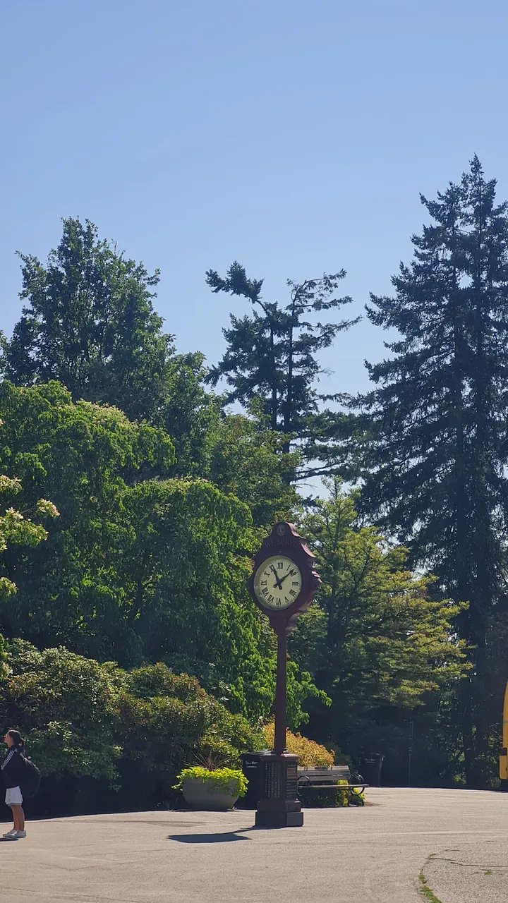 Clock at the garden