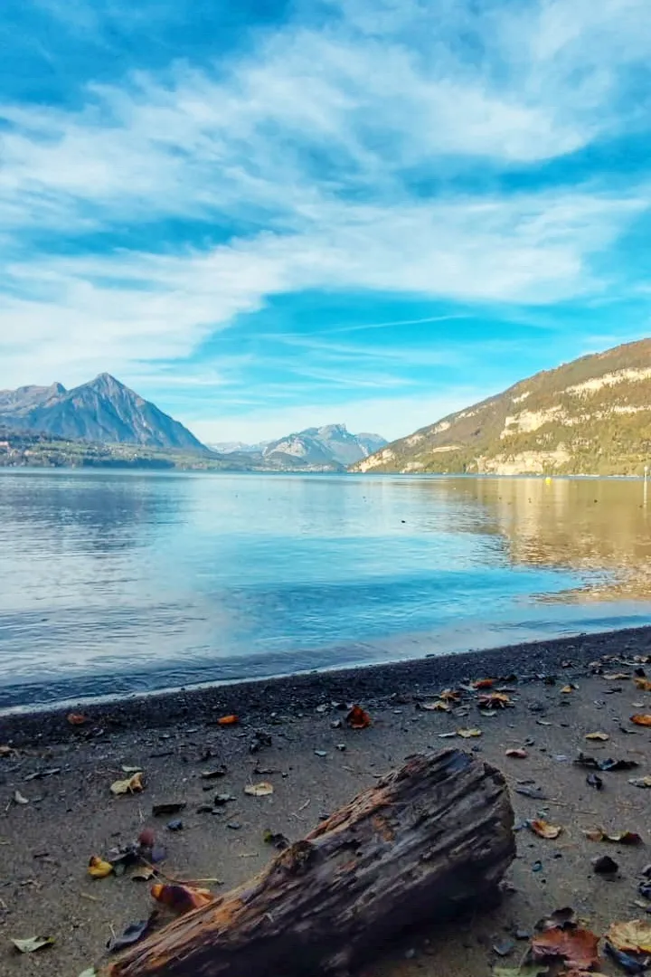 lake portrait.jpg