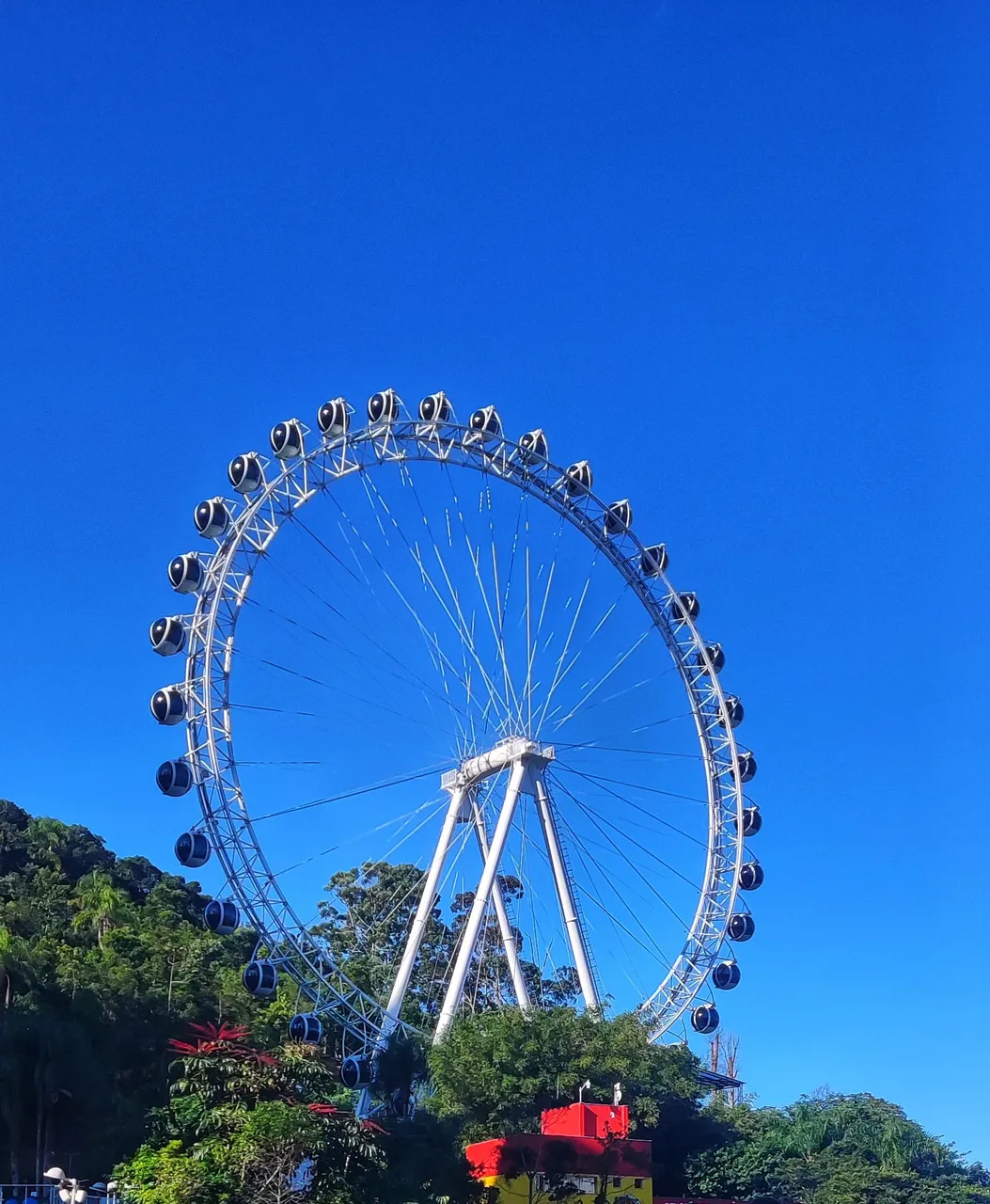 Ferry wheels 🎡