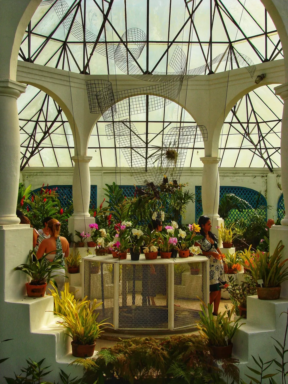 Orchid Garden