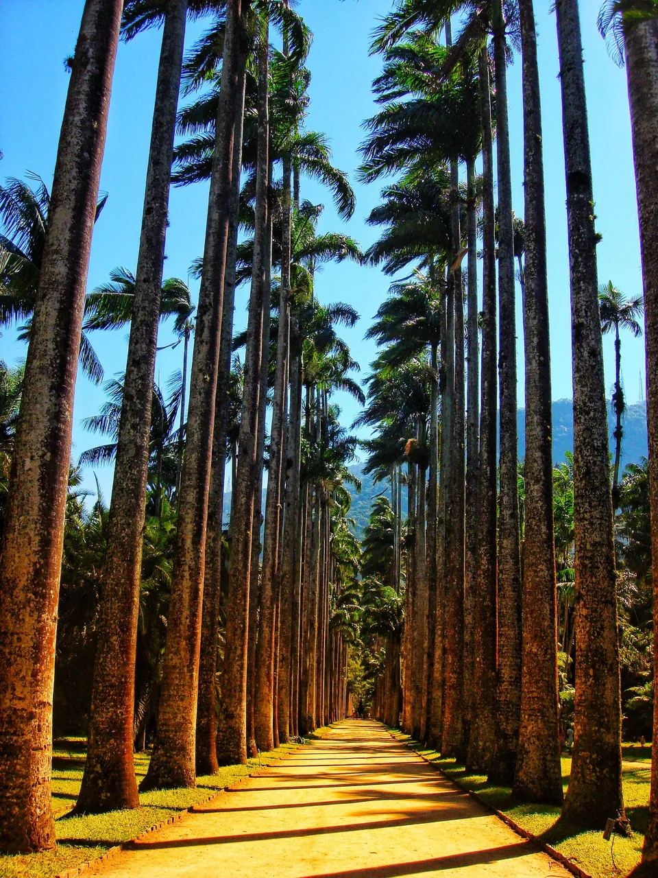Park Entrance - Alea Barbosa Rodrigues Street