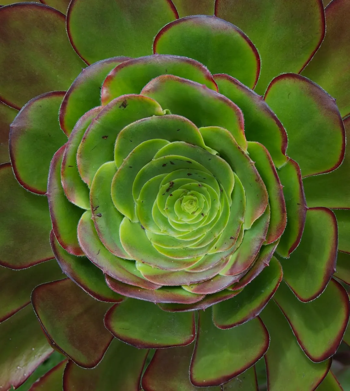 17506493538076186145959026906967.jpg