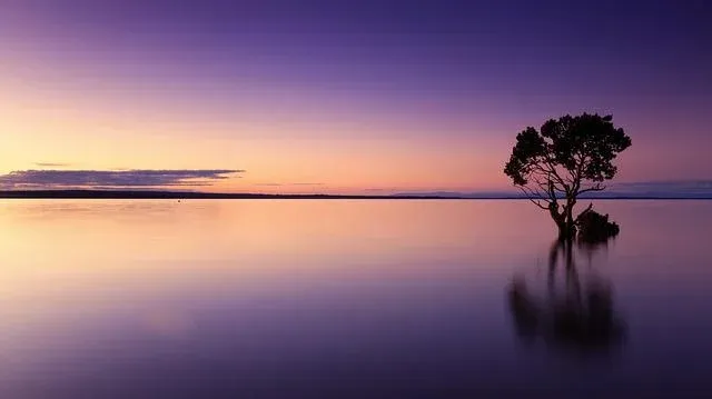 sunset-1373171_640.webp