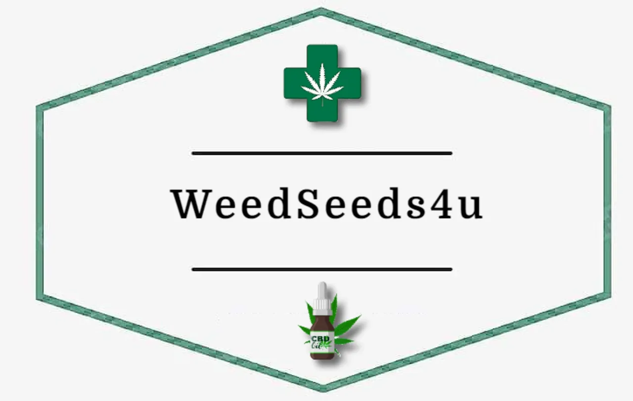 WeedSeeds4u LOGO.jpg