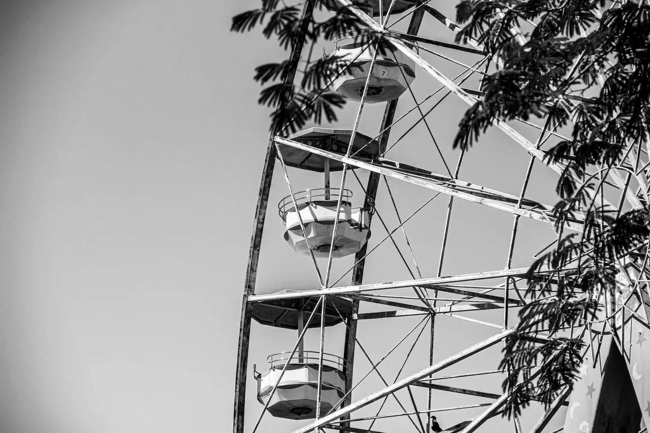 IMG_4220 (1).jpg