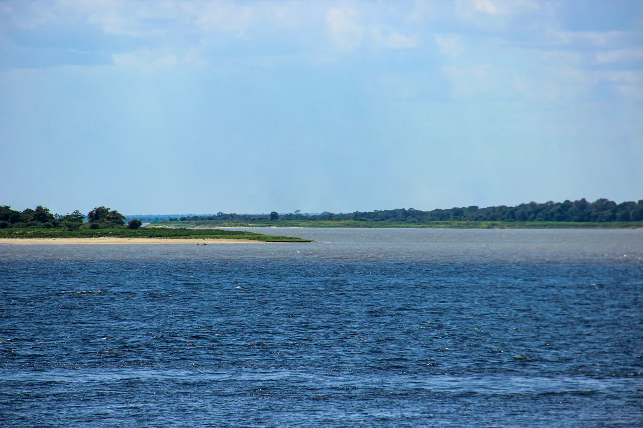 IMG_9896.jpg