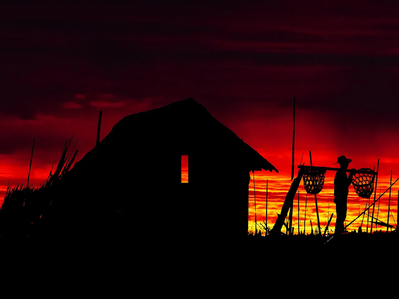sunset-4949611_1280.png