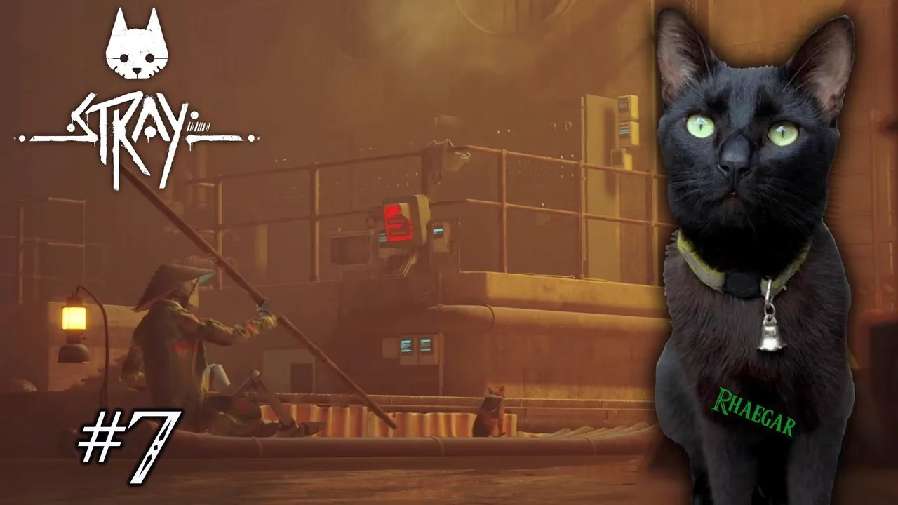 Stray_7.jpg