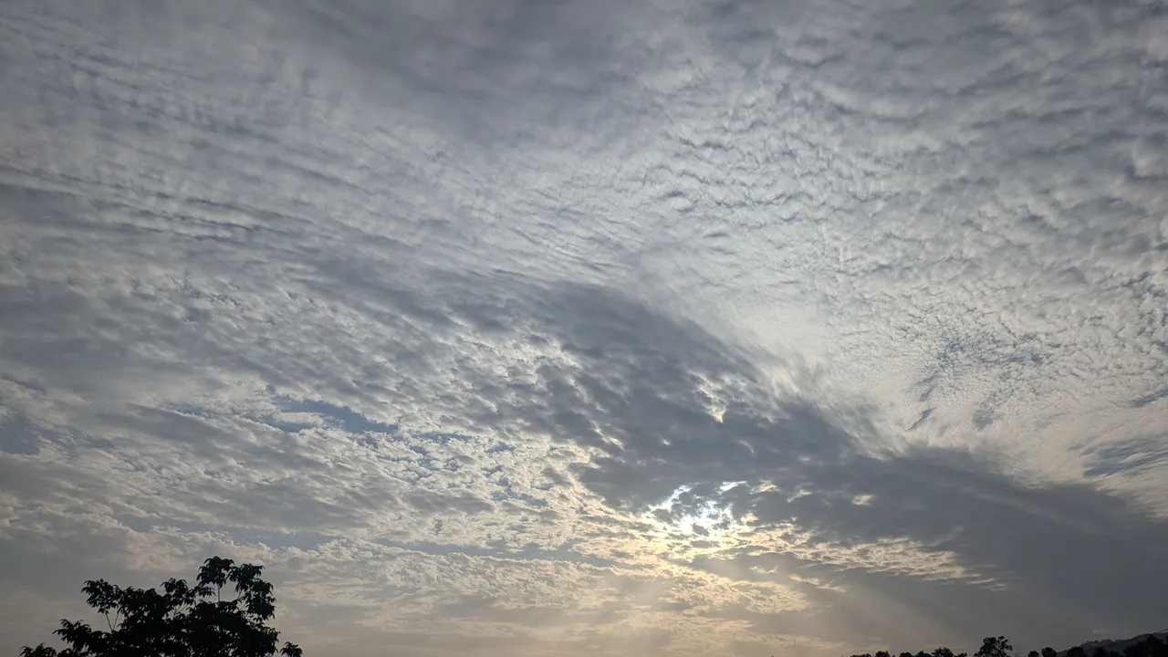 1000163525.jpg
