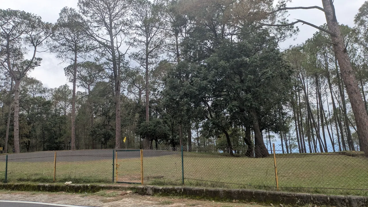 1000170531.jpg