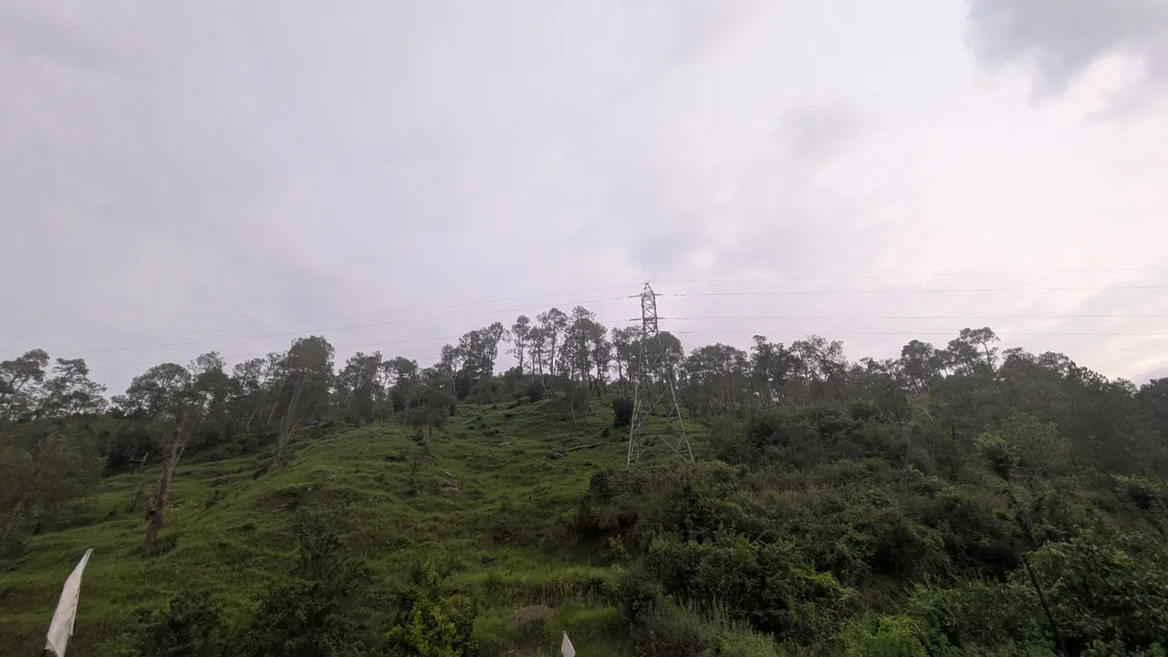 1000172890.jpg