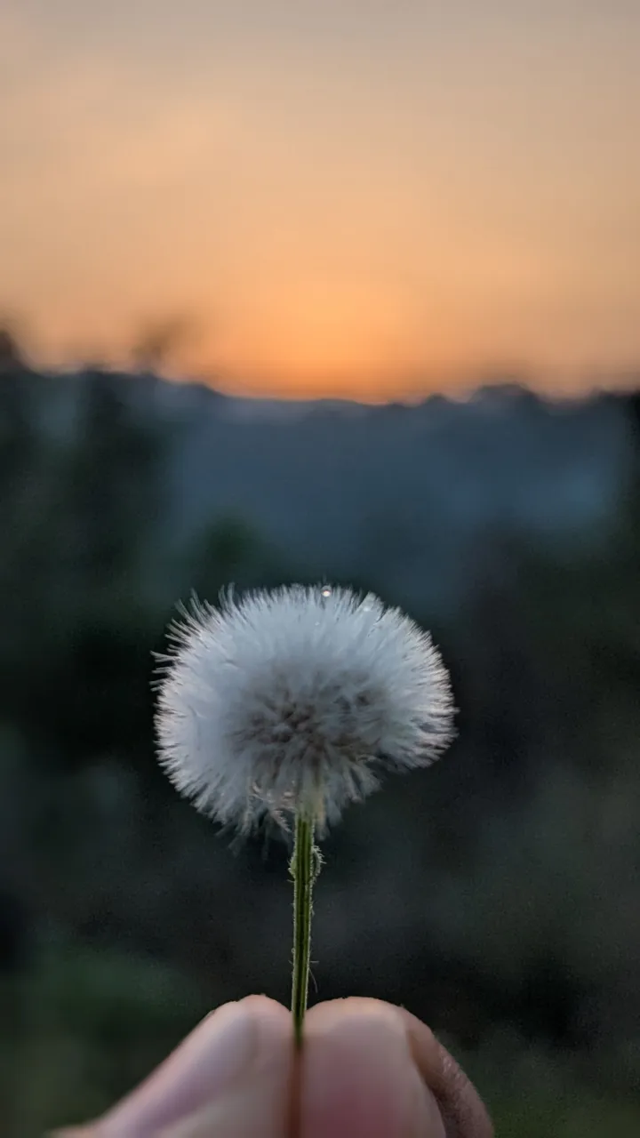 1000152051.jpg